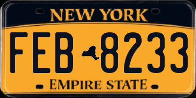 NY license plate FEB8233
