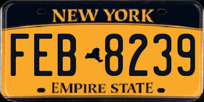 NY license plate FEB8239