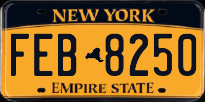 NY license plate FEB8250
