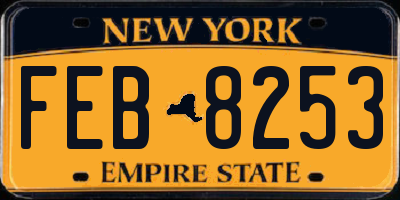 NY license plate FEB8253