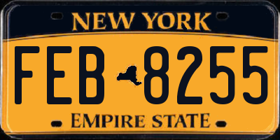 NY license plate FEB8255
