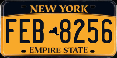 NY license plate FEB8256