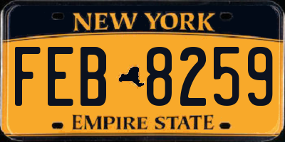 NY license plate FEB8259
