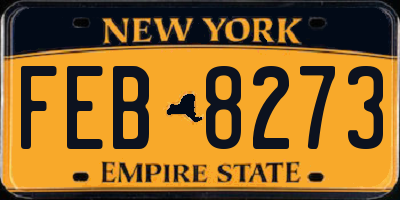NY license plate FEB8273