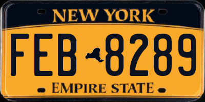 NY license plate FEB8289