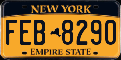 NY license plate FEB8290
