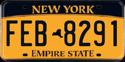 NY license plate FEB8291