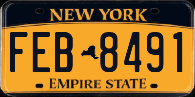 NY license plate FEB8491