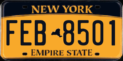 NY license plate FEB8501