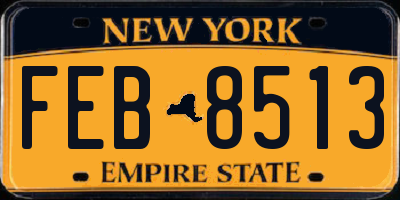 NY license plate FEB8513