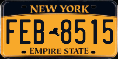 NY license plate FEB8515