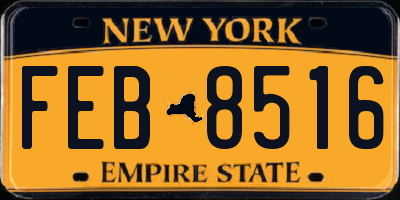 NY license plate FEB8516