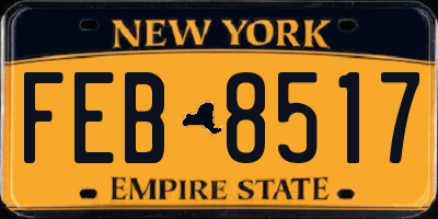 NY license plate FEB8517