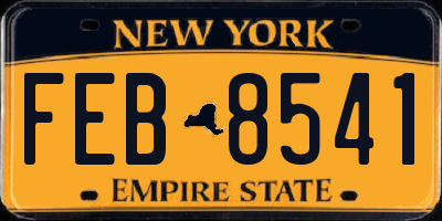 NY license plate FEB8541