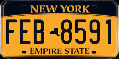 NY license plate FEB8591