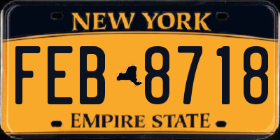 NY license plate FEB8718