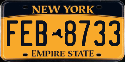NY license plate FEB8733