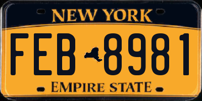NY license plate FEB8981