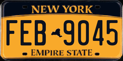 NY license plate FEB9045