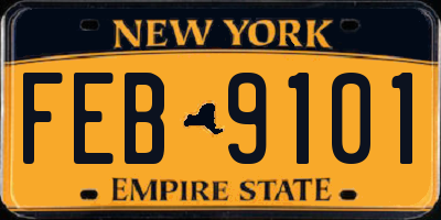 NY license plate FEB9101