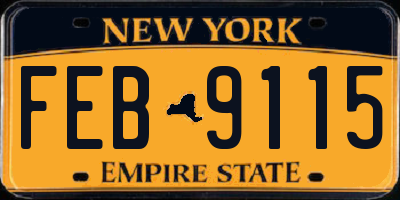 NY license plate FEB9115
