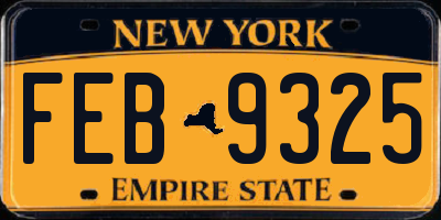 NY license plate FEB9325
