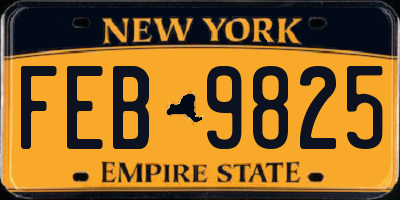 NY license plate FEB9825