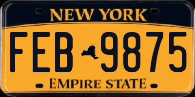 NY license plate FEB9875