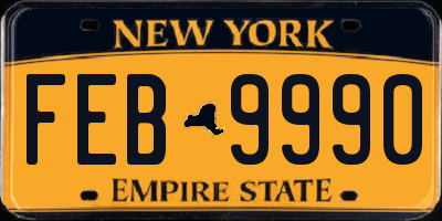 NY license plate FEB9990