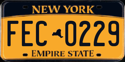 NY license plate FEC0229