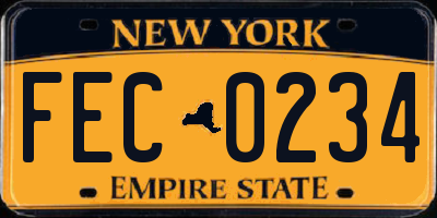 NY license plate FEC0234