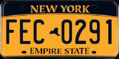 NY license plate FEC0291