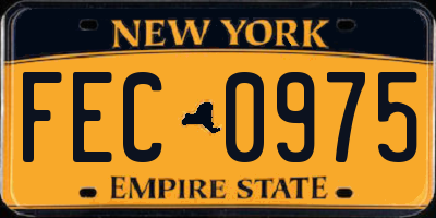 NY license plate FEC0975