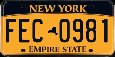 NY license plate FEC0981