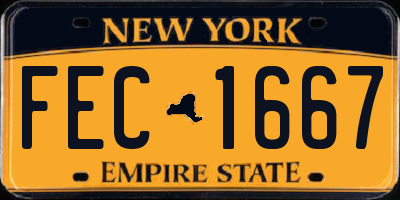 NY license plate FEC1667