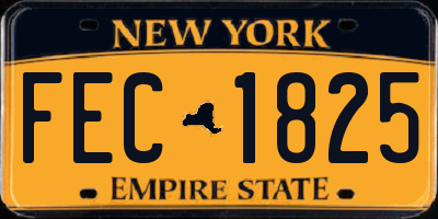 NY license plate FEC1825