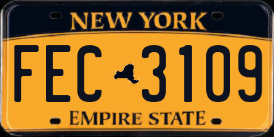 NY license plate FEC3109