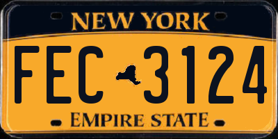 NY license plate FEC3124