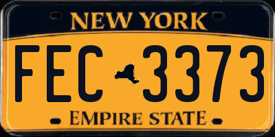 NY license plate FEC3373