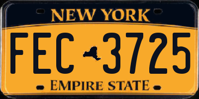 NY license plate FEC3725