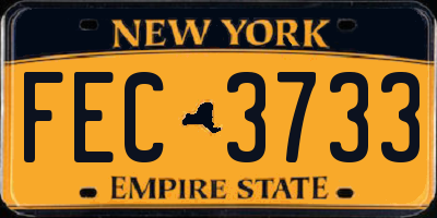 NY license plate FEC3733