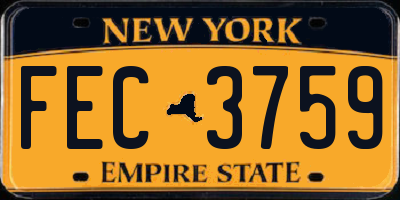 NY license plate FEC3759