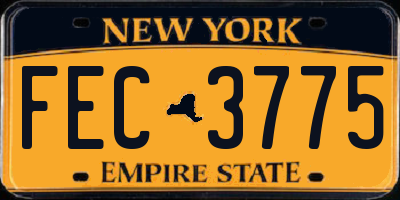 NY license plate FEC3775