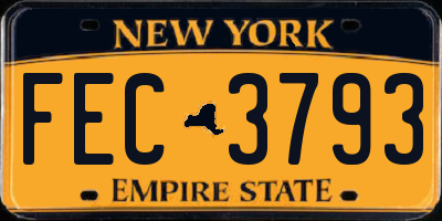 NY license plate FEC3793