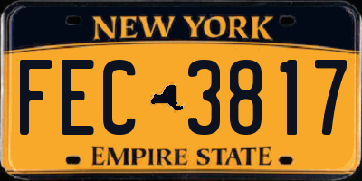 NY license plate FEC3817