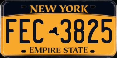 NY license plate FEC3825