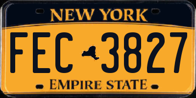NY license plate FEC3827