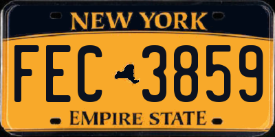 NY license plate FEC3859