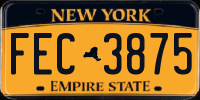 NY license plate FEC3875