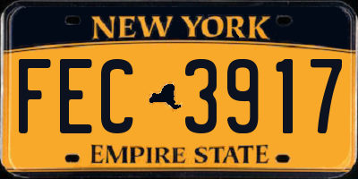 NY license plate FEC3917